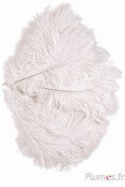 Struzzo - 30-40 cm - crema